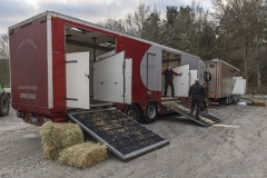 Trucks are being prepared for animals
Transport of European bison  
Foto: (C) Ola Jennersten, Naturfotograferna, IBL Bildbyrå